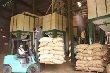 TPP: Cơ hội tái cơ cấu nền nông nghiệp